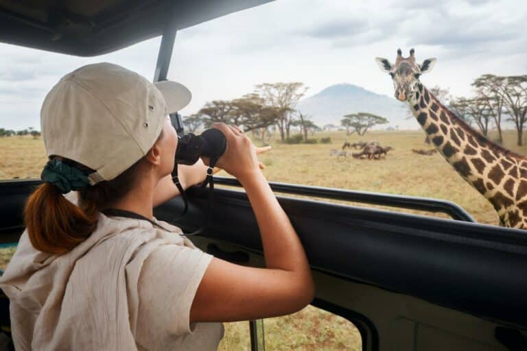 4-Day Sekekama Safari and Panorama Adventure